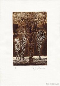 predam grafiky od Igor Piačka I - 8