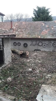 Štiepkovanie konárov - 8