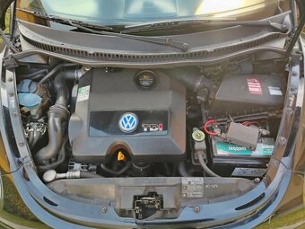VW New Beetle - 8