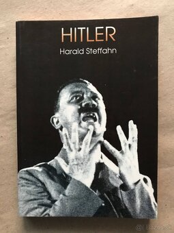 Jimi Hendrix, Rolling Stones, U2 Revoluce, Chrámy a kláštery - 8