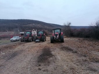 Čistenie pozemkov, Kosenie, Mulčovanie, Vinice na kľúč - 8