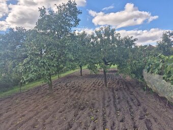 RD v obci Jelšovce - 8