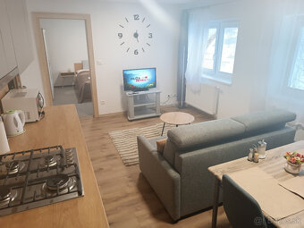 Trenčianske Teplice apartmány ubytovanie aj pre samoplatcov - 8