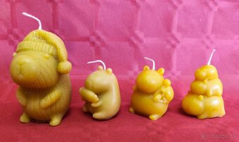 Predám sviečky z včelieho vosku. - 8