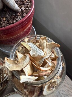 Sušené dubáky - 8