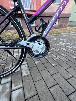 Dámsky bicykel CTM BORA 2.0 - 8