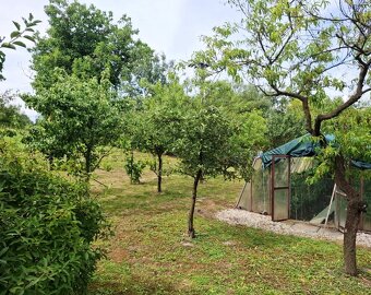 PANICKÉ DRAVCE - RD na pozemku 5400 m2 - 8