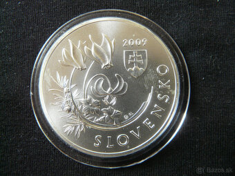 Slovenské eurové striebro - 8