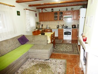 Predam dom- Budova pre šport pri Dunaji - 8