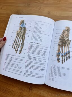 Čihák Anatomie 1 - 8