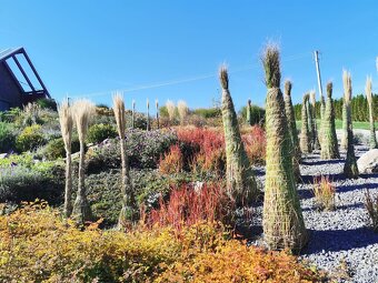 ✨ GREENMAMBA GARDEN – záhrady, do ktorých sa budete chcieť v - 8