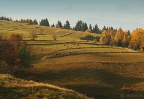 Predám pozemok v prírode-Detvianska Huta - 8