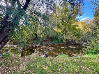 Na predaj chata s 5 ár pozemkom pri mŕtvom ramene Nitry - 8