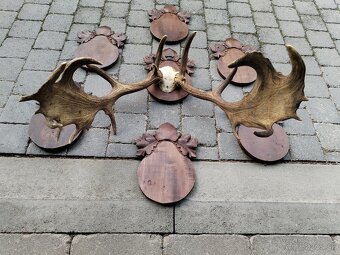 Trofej daniela +podložky - 8