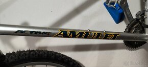 Bicykel MAXIMA Amulet 19" - 8