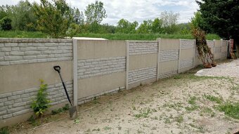 Tuja Smaragd, vavrínovec, červienka - Martin - 8