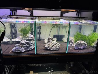 Regály s akváriami, technikou a rybičkami - 8