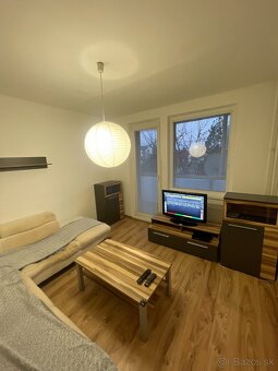 Predam 2 izbovy byt na DRUZBE - 8