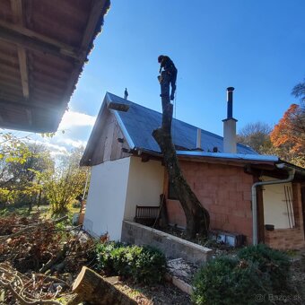 Rizikové rezanie stromov - 8