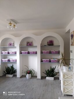 Dom v Branči pri Nitre - 8