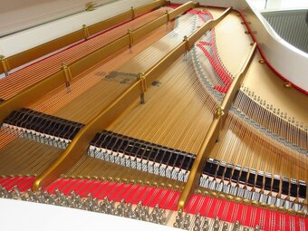 jedinečná ponuka Steinway &Sons - 8