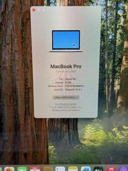 MacBook Pro M1 8/256Gb - 8