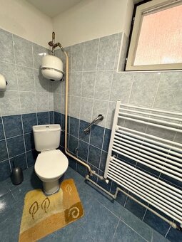 Na predaj krásna chalupa neďaleko Šturova v obci Divá - 8