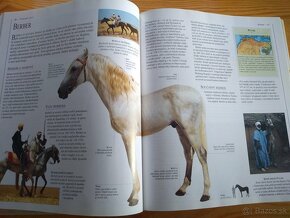 Obrazová encyklopedie koní (česky) - 20 eur - 8