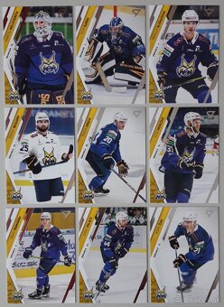 Hokejové kartičky TIPOS EXTRALIGA 24/25 HK SPIŠSKÁ NOVÁ VES - 8