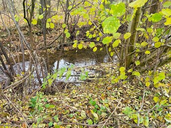 Investičné pozemky v Dolnom Kubíne – Banisko | Priestor pre - 8