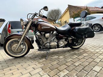 Xv 1600 wild star - 8