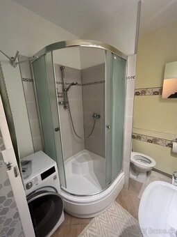 Prenajmem -1 izbový byt v Šali - 8