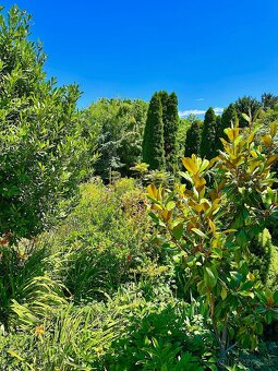 7-izb. Rodinný dom s bazénom na pozemku 5.100 m2 - 8