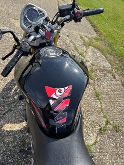 Honda Hornet Cb 600f - 8