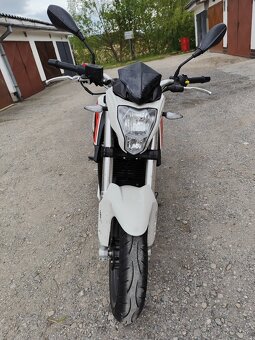 Benelli bn 251 - 8