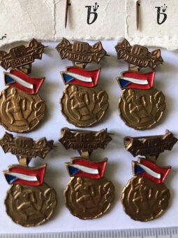 Výkonnostné odznaky žiactvo BPPOV - 8