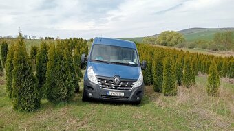 Tuja Smaragd, vavrínovec, červienka - Liptovský Mikuláš - 8