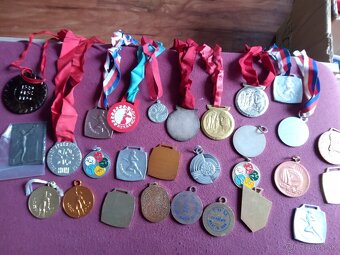 Medaile Roh.Pionier.SSM.CSM.Retro.Ceskoslovensko. - 8
