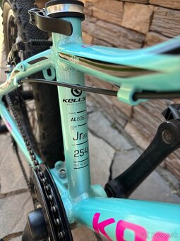 Kellys Lumi 50 20 detský bicykel, ružová/modrá - 8
