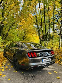Mustang GT 2017 5.0🚀 - 8
