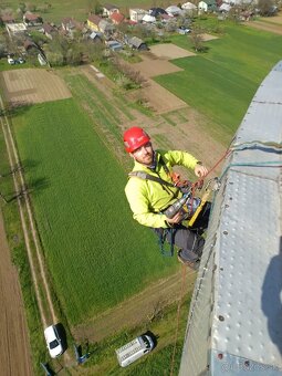 Výškové práce zrezavanie stromov - 8