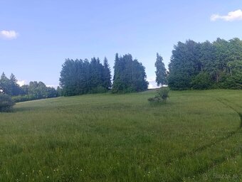 Orna pôda Oravská Jasenica - 8