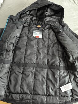 Zina bunda Dickies - 8
