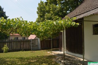 Chalúpka v typickom štýle Záhoria, pod starou lipou - 8
