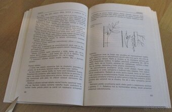 Vrúbľovanie, očkovanie, rozmnožovanie - 8