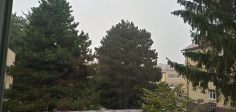 Prenajmem garsónku Piešťanská 4, Trenčín (budova Pošty) - 8