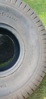 Carlstar Turf Saver 71A4 255/60-8 (20x10-8) - 8
