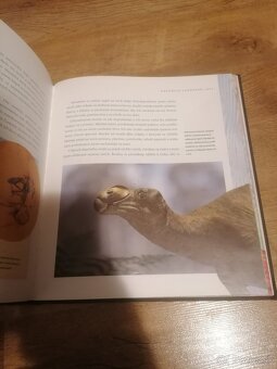 Prechádzky s dinosaurami - 8