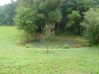 I JEDNOTLIVO  Predám pozemky v krásnom malebnom prostredí. - 8