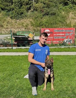 Nemecky ovčiak S PP - 8